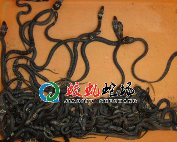 �۾�������