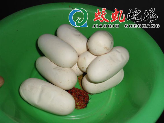 �ؼ������ߵ�