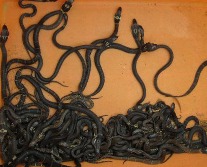 �۾�����